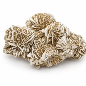 Desert Rose Crystal Large — 8" Natural Gypsum Rosette Formation