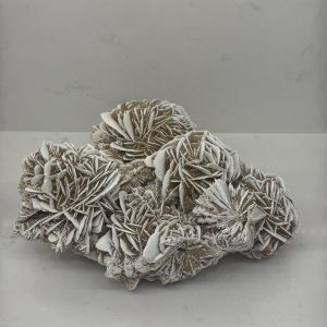 Desert Rose Medium